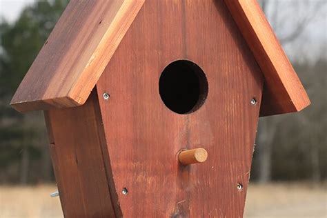 bird house metal perches|why do birds need a perch.